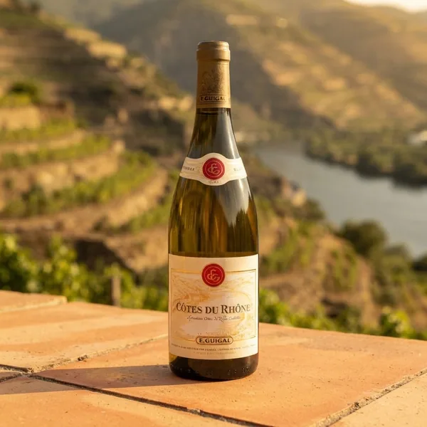 E. Guigal Côtes du Rhône Blanc