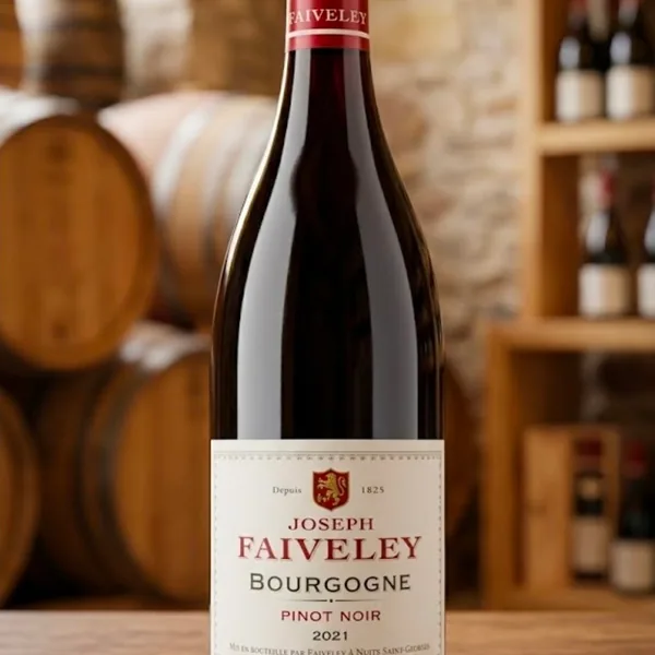 Bourgogne Pinot Noir 2021 Domaine Joseph Faiveley